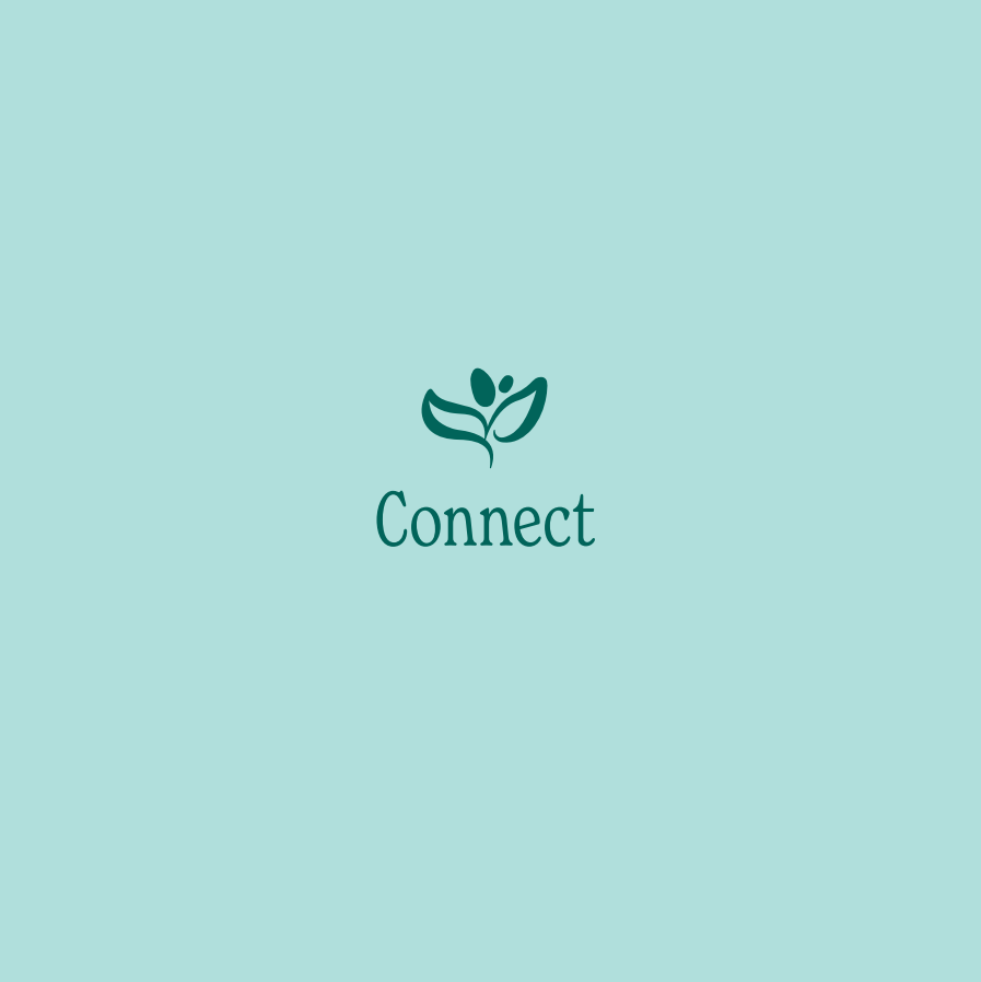 Connect Icon